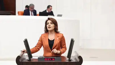 CHP'li Gülcan Kış: Ekonomik kriz halkın suçu değil, iktidarın yanlış politikaları!
