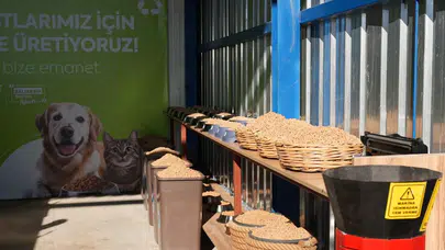 Balıkesir Büyükşehir, can dostların mamasını kendi üretiyor