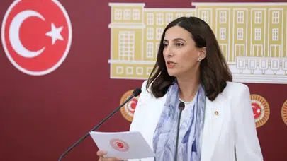 CHP'li Evrim Rızvanoğlu: Gençler ekonomik krizle boğuşuyor