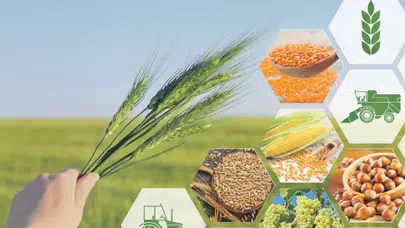 Kasım 2025 Tarım Ürünleri Üretici Fiyat Endeksi'nde düşüş ve yıllık artış kaydedildi