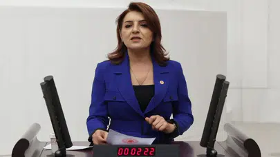 CHP'li Gülcan Kış: 2025 bütçesi borçlanma talimatıdır, halkın geleceği bankaların elinde!
