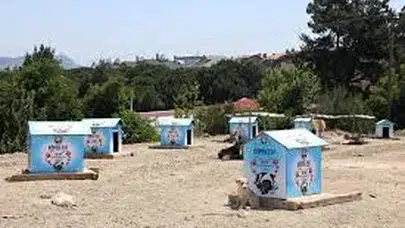 MUDANYA BELEDİYESİ'NDEN SAHİPSİZ HAYVANLARA BESLEME NOKTASI