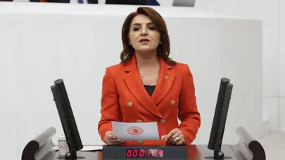 CHP'li Kış: 2026 bütçesi, halk için değil saray düzeni için hazırlandı!