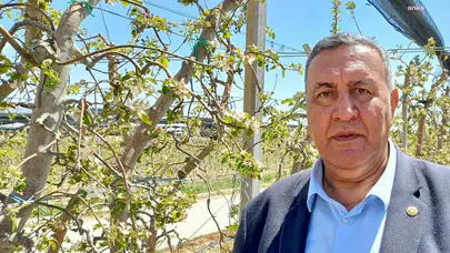Ömer Fethi Gürer'den iktidara zirai don çağrısı: "Üreticinin borçları ötelensin"