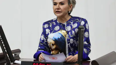 CHP'li Nimet Özdemir Cezaevlerinde Büyüyen Çocukları Meclis Gündemine Taşıdı