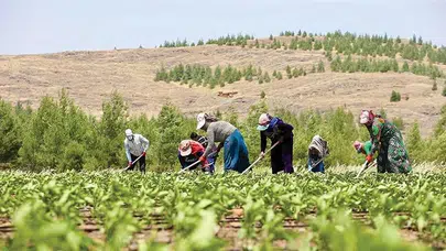 CHP Adana Milletvekili Orhan Sümer: Çiftçiyi borç batağına sürüklüyor