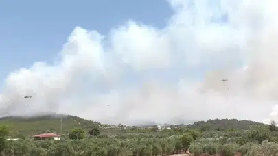 Manisa'da Orman Yangını: Yerleşim Yerleri Tahliye Edildi, Müdahale Devam Ediyor