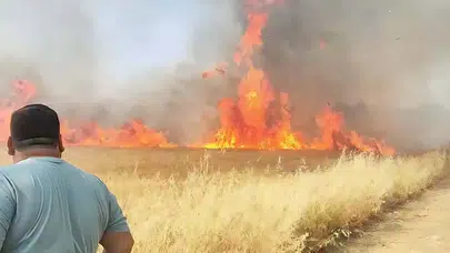Manisa'da buğday tarlasında yangın: Müdahale ediliyor