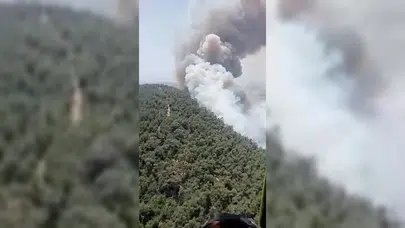 İzmir Foça'da orman yangını çıktı