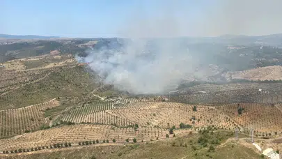 İzmir'de otluk alanda yangın çıktı: Müdahale ediliyor