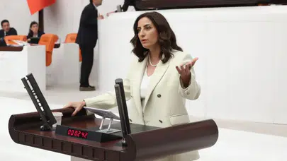 DEVA Partili Evrim Rızvanoğlu: İklim Kanunu dediniz, ormanları madene açtınız