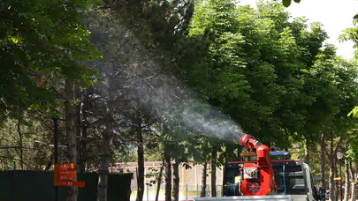 ÇANKAYA BELEDİYESİ'NDEN KENE VE HAŞERELERE KARŞI YOĞUN MÜCADELE