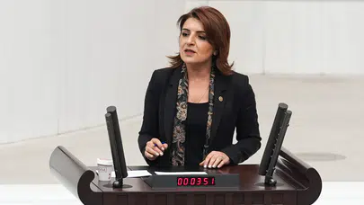 CHP'li Kış: Nas dediler, milletin sırtına faizi yüklediler!