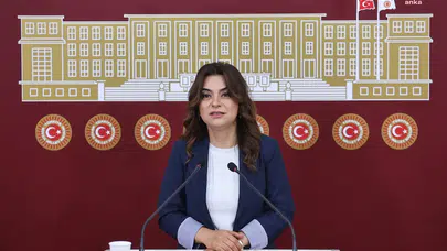 DEM Parti'li Koçyiğit: Meclis tatile girmeden komisyon kurulmalı