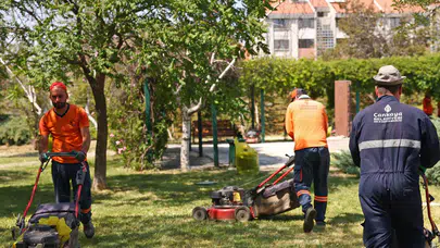 Çankaya Belediyesi'nden örnek hamle! Yeşil parklar için yoğun mesai