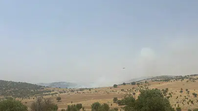 Mardin'de orman yangını! Havadan ve karadan müdahale ediliyor