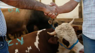 Burdur Belediye Başkanı Ercengiz’den Kurban atıklarının ‘bertarafı’ çağrısı