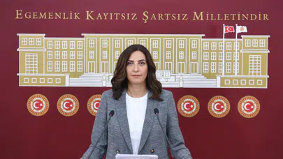 Evrim Rızvanoğlu'ndan "Süper İzin Yasası"na sert eleştiri: Anayasa'ya aykırı, çevreyi tehdit ediyor!