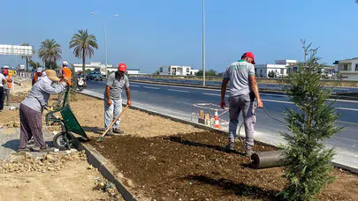 Manavgat Belediyesi’nden Refüjlerde Doğa Dostu Peyzaj ve Sulama Çalışması