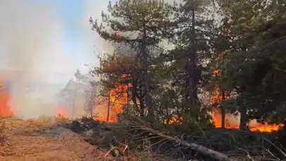 Eymir Gölü’nde Korkutan Yangın! Havadan ve Karadan Yoğun Müdahale Sürüyor