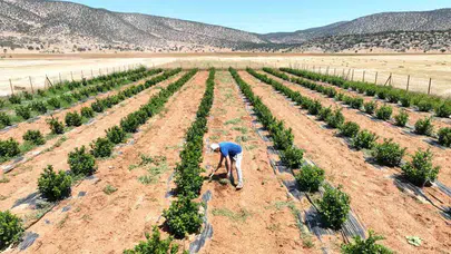 DSİ, köylüleri projeye ne zaman, hangi yöntemlerle bilgilendirdi? Halkın katılımı sağlandı mı?