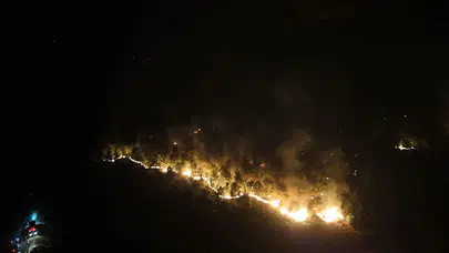 Tekirdağ'daki orman yangını kontrol altına alındı, destek verenlere teşekkür!