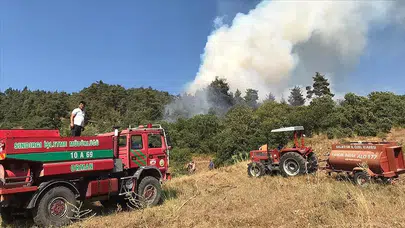 Sındırgı'da Orman Yangını: Ekipler Havadan ve Karadan Mücadele Ediyor