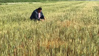 Güneydoğu’da Tarihin En Büyük Kuraklığı: Çiftçi “Mahvolduk” Diyor