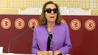 Akp'li Özbudun: CHP destekleri bağımsız milletvekilliğimin sonucu, linç kampanyalarına maruz kalıyorum