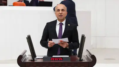 CHP'li Aşkın Genç, orman yangınlarıyla mücadele için TSK uzmanlarının memur olmasını önerdi!