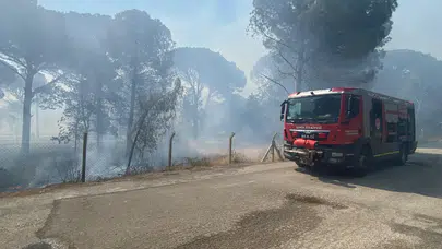 Bergama'da Orman Yangınına Hızla Müdahale Ediliyor