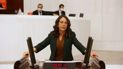Oya Ersoy; Erkeklerin şiddetine uğrayan kadınların şiddet mağduru olmaları değil de sayılarının basına yansıması rahatsız etti?