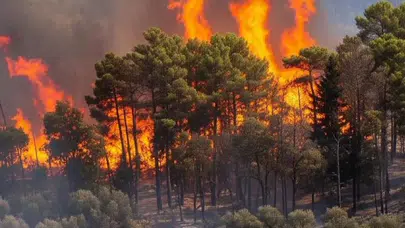 Orman yangınları ile ilgili 67 kişiye işlem, 13'ü tutuklandı; hukuki süreç sürüyor