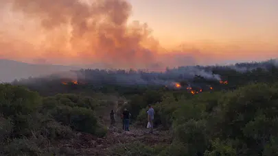 İzmir Urla’da Orman Yangını Gece Saatlerinde Kontrol Altına Alındı