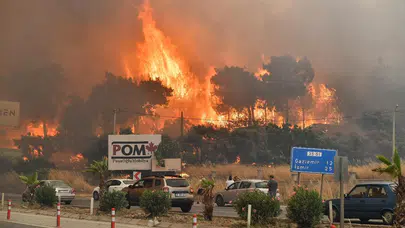 İZPA İzmir’i Haritaladı: Orman Yangını Riski En Yüksek Bölgeler Belirlendi