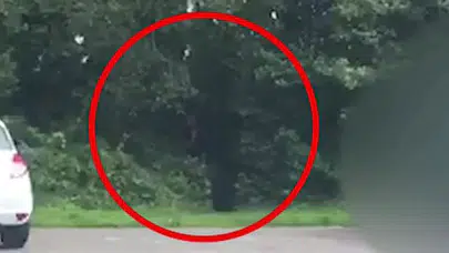 Otoparkta büyük skandal ! Sevişen çifti izleyenleyenleri...