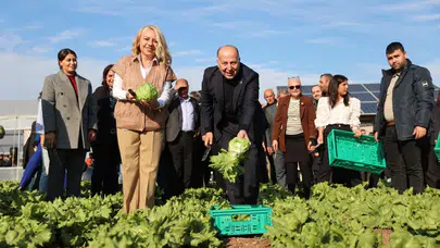 Yüreğir Belediyesi’nden Kadın Çiftçilere Destek: 12 Milyon Lira Hibe ve Ücretsiz Patates Dağıtımı