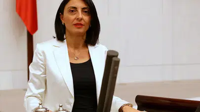 Bursa'nın Enerji Tehdidi: CHP'li Vekil, Bakan'a Termik Santralleri Sordu