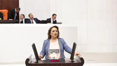 CHP'li Dr. Müzeyyen Şevkin: En pahalı kömürün tonu 9400 lira, en ucuz zeytinin tonu 200 bin lira