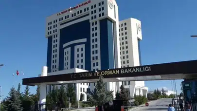 Gençlik Bakanlığın Önünde: “Ölen Hep İşçi, Sorumlular Susuyor”