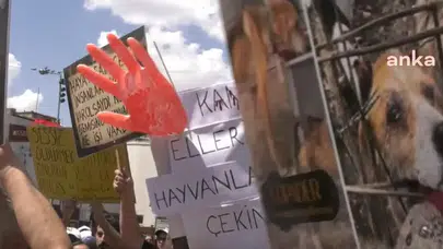 Etimesgut'ta köpekleri öldürme iddiasıyla yargılanan veterinerin duruşması 9 Eylül'e ertelendi