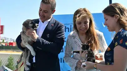 Balıkesir Büyükşehir Belediyesinin Can Dost’u şifa dağıtıyor