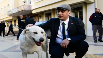 Eros, Bornova'da Sevgi ve Adaletin Temsilcisi Olarak Patili Dostlarla Buluşacak!