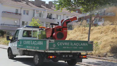 Çankaya'da haşereye karşı yoğun ilaçlama seferberliği başlatıldı!