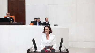 CHP'li Coşar, Turizm Yolu Projesi'ni TBMM'ye taşıdı: Ulaşım sorunlarına dikkat çekti!