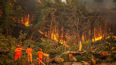 OGM’den Yangın Uyarısı: “Yeşil Vatan Risk Altında, Dikkatli Olalım”