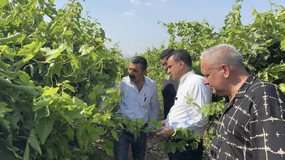 Manisalı Üzüm Üreticisi CHP’li Başevirgen’e Dert Yandı: “Emeğimiz Hiçe Sayılıyor”