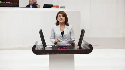 CHP'li Gülcan Kış: Her depremde aynı kara tablo: Hatlar çöküyor, devlet seyrediyor!