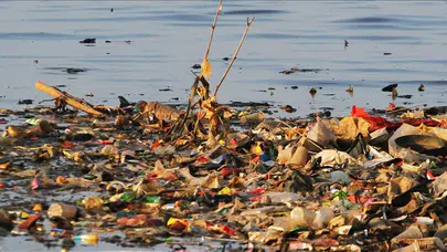 Plastik Kirliliğiyle Mücadelede Kritik Haftalar: Cenevre’de Anlaşma Arayışı