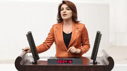 CHP'li Kış: Meclis'te muhalefetin önerilerinin görmezden geliniyor